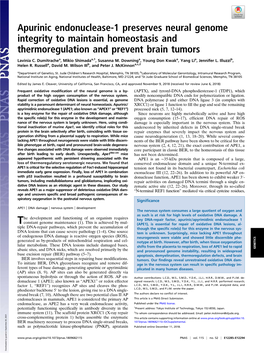 Apurinic Endonuclease-1 Preserves Neural Genome Integrity to Maintain Homeostasis and Thermoregulation and Prevent Brain Tumors