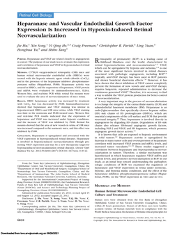 Heparanase and Vascular Endothelial Growth Factor Expression Is Increased in Hypoxia-Induced Retinal Neovascularization