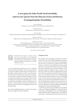 A New Genus for Indo-Pacific Fossil Strombids, and Two New Species from the Miocene of Java and Borneo (Caenogastropoda, Strombidae)