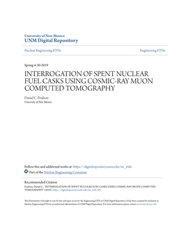 INTERROGATION of SPENT NUCLEAR FUEL CASKS USING COSMIC-RAY MUON COMPUTED TOMOGRAPHY Daniel C