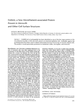 Fimbrin, a New Microfilament-Associated Protein Present in Microvilli and Other Cell Surface Structures