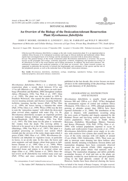 An Overview of the Biology of the Desiccation-Tolerant Resurrection Plant Myrothamnus Flabellifolia