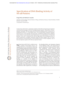 Specification of DNA Binding Activity of NF-Kb Proteins