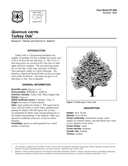 Quercus Cerris Turkey Oak1 Edward F