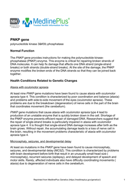 PNKP Gene Polynucleotide Kinase 3-Phosphatase