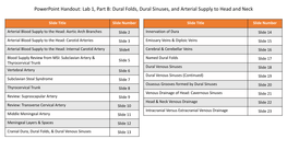 Powerpoint Handout: Lab 1, Part B: Dural Folds, Dural Sinuses, and Arterial Supply to Head and Neck