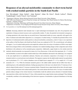 Responses of an Abyssal Meiobenthic Community to Short-Term Burial With