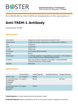 Anti-TREM-1 Antibody