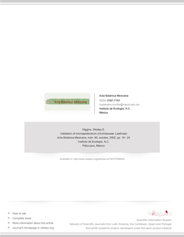 Redalyc.Validation of Microepidendrum (Orchidaceae: Laeliinae)