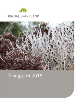 Årsrapport 20182016 2 Årsrapport 2018 - Rindal Sparebank