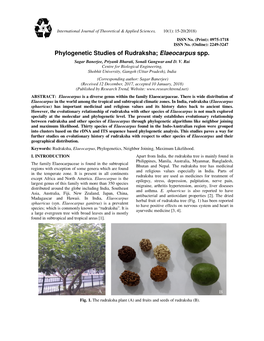 Phylogenetic Studies of Rudraksha; Elaeocarpus Spp. Sagar Banerjee, Priyank Bharati, Sonali Gangwar and D