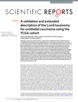 A Validation and Extended Description of the Lund Taxonomy for Urothelial