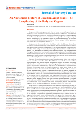 An Anatomical Feature of Caecilian Amphibians: the Lengthening of the Body and Organs