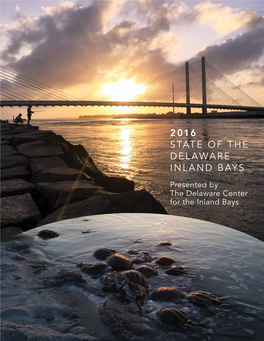 The 2016 State of the Delaware Inland Bays Report Is a Compilation of the Atlantic Ocean