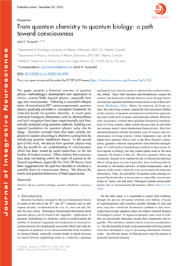 From Quantum Chemistry to Quantum Biology: a Path Toward Consciousness