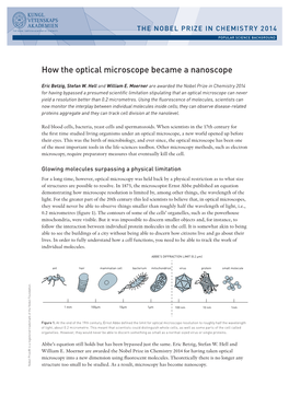 How the Optical Microscope Became a Nanoscope