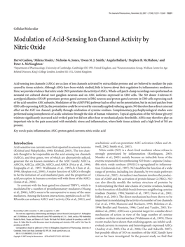 Modulation of Acid-Sensing Ion Channel Activity by Nitric Oxide
