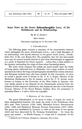 Some Notes on the Genus Sehomburgkia Orchidaceae and Its Relationships