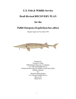 U.S. Fish & Wildlife Service Draft Revised RECOVERY PLAN for The