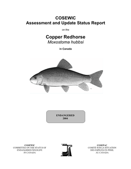 Copper Redhorse (Moxostoma Hubbsi) Is One of Seven Species of the Genus Moxostoma (Family Catostomidae) Occurring in Canada