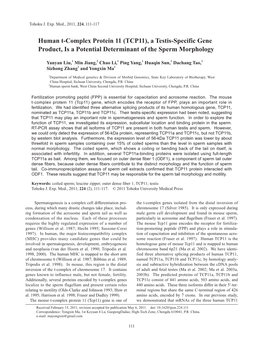 Human T-Complex Protein 11 (TCP11), a Testis-Specific Gene Product, Is a Potential Determinant of the Sperm Morphology