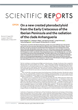 On a New Crested Pterodactyloid from the Early Cretaceous of the Iberian