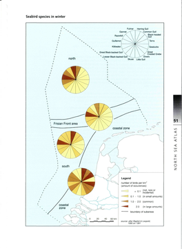 Seabird Species in Winter