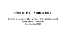 Practical # 5 - Nematodes 1