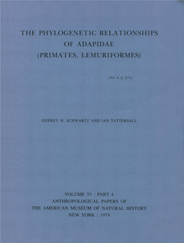 The Phylogenetic Relationships of Adapidae (Primates, Lemuriformes)