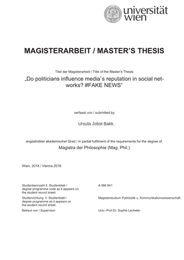 Magisterarbeit / Master's Thesis