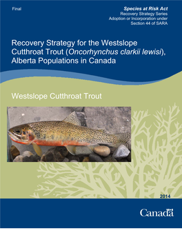 Recovery Strategy for the Westslope Cutthroat Trout (Oncorhynchus Clarkii Lewisi), Alberta Populations in Canada