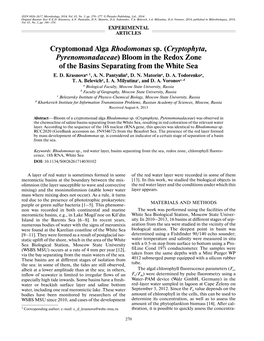 Cryptomonad Alga Rhodomonas Sp. (Cryptophyta, Pyrenomonadaceae) Bloom in the Redox Zone of the Basins Separating from the White Sea E