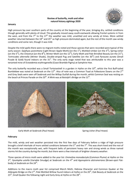 January Review of Butterfly, Moth and Other Natural History Sightings 2020