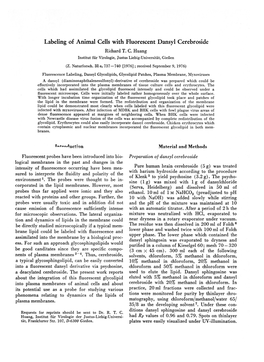 Labeling of Animal Cells with Fluorescent Dansyl Cerebroside Richard T