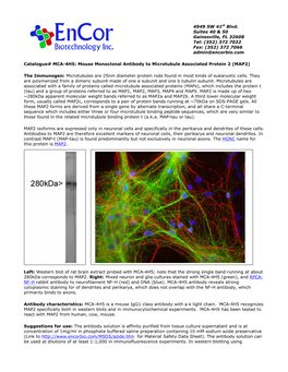 Encor Biotechnology Inc