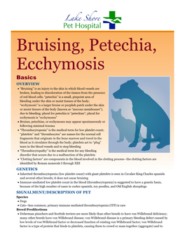 Bruising, Petechia, Ecchymosis