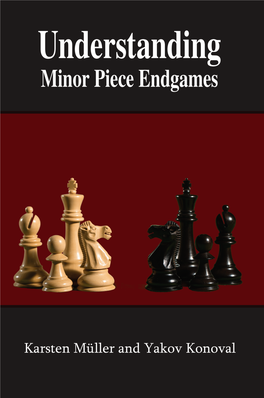 Understanding Minor Piece Endgames