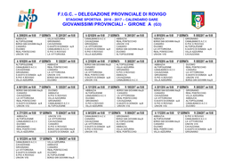 F.I.G.C. – Delegazione Provinciale Di Rovigo Giovanissimi Provinciali