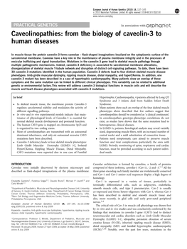 From the Biology of Caveolin-3 to Human Diseases