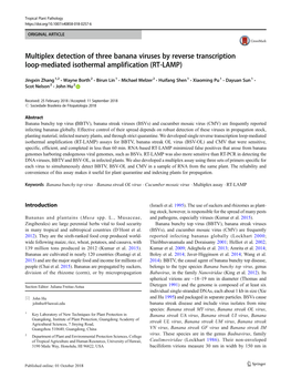 Multiplex Detection of Three Banana Viruses by Reverse Transcription Loop-Mediated Isothermal Amplification (RT-LAMP)