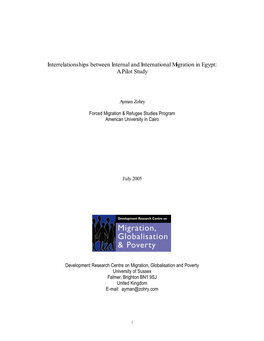 Interrelationships Between Internal and International Migration in Egypt: a Pilot Study