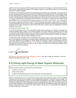 Using Light Energy to Make Organic Molecules