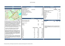 High Bonnybridge Settlement Profile 2020