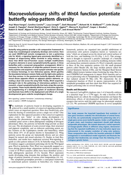 Macroevolutionary Shifts of Wnta Function Potentiate Butterfly Wing-Pattern Diversity