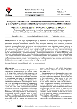 Interspecific and Intraspecific Size and Shape Variation in Skull of Two Closely Related Species Bufo Bufo (Linnaeus, 1758)