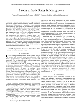 Photosynthetic Rates in Mangroves