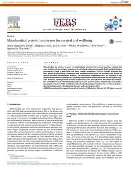 Mitochondrial Protein Translocases for Survival and Wellbeing