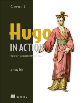 PROMO Hugo in Action-Book.Book