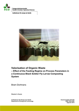 Valorisation of Organic Waste – Effect of the Feeding Regime on Process Parameters in a Continuous Black Soldier Fly Larvae Composting System