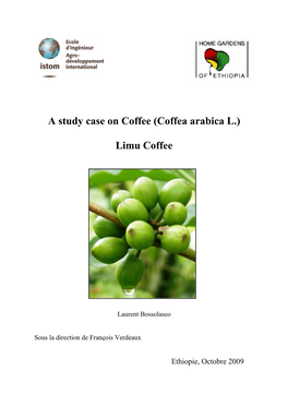 A Study Case on Coffee (Coffea Arabica): Limu Coffe